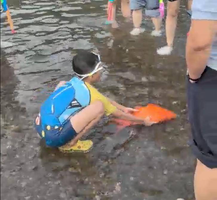 因为病情恶, 鱼面对比水, 旧活蹦乱跳 因为病情恶, 鱼面对比水, 旧活蹦乱跳